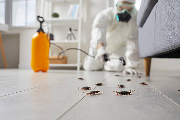 Commercial Rodent Management in Lafayette